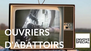 Ouvriers d'abattoirs : des bourreaux ou des hommes ?