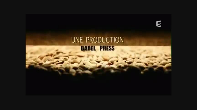 Amande, les secrets d'un super-aliment