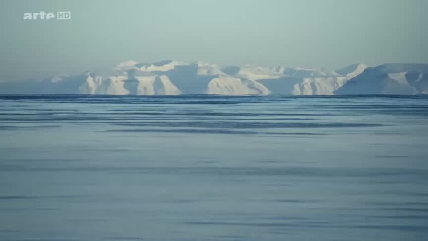 Documentaire Scandinavie – l’appel de la nature (1/5) L’ours polaire
