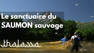 Documentaire Le sanctuaire du saumon sauvage