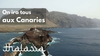 On ira tous aux Canaries !