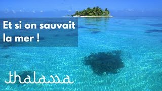 Documentaire Et si on sauvait la mer !