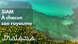 Siam, à chacun son royaume