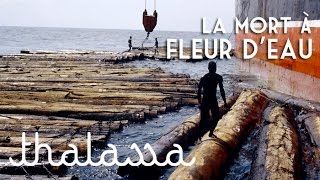 Kroomen, la mort à fleur d'eau