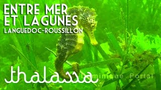 Languedoc-Roussillon, entre mer et lagune