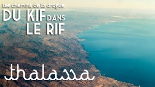 Documentaire Du kif dans le Rif, les chemins de la drogue au Maroc