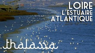 La Loire, l'estuaire atlantique