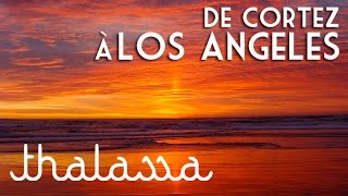 De la Mer de Cortez à Los Angeles