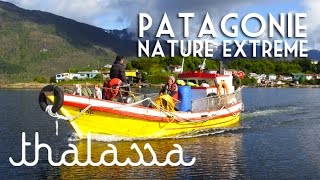 Documentaire Patagonie, nature extrême