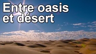 Entre oasis et désert