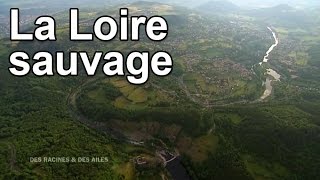 Documentaire La Loire sauvage