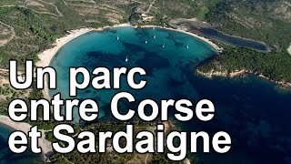Un parc entre Corse et Sardaigne