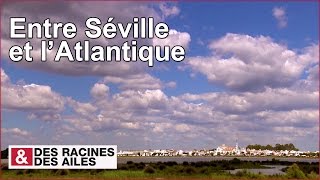 Entre Séville et l’Atlantique