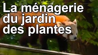 Documentaire La ménagerie du jardin des plantes