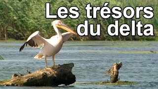 Documentaire Les trésors du delta