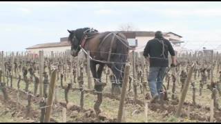 Documentaire Drogues, vol, accident : alerte en Gironde