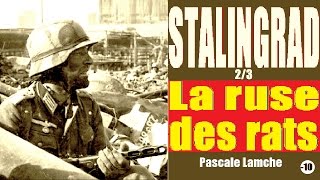 1942, Stalingrad : la ruse des rats