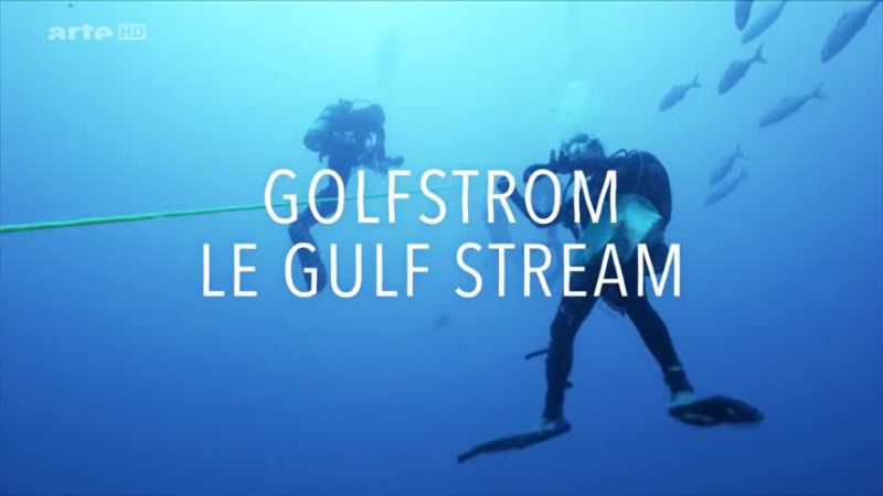 Le Gulf Stream - De Cuba à Terre-Neuve