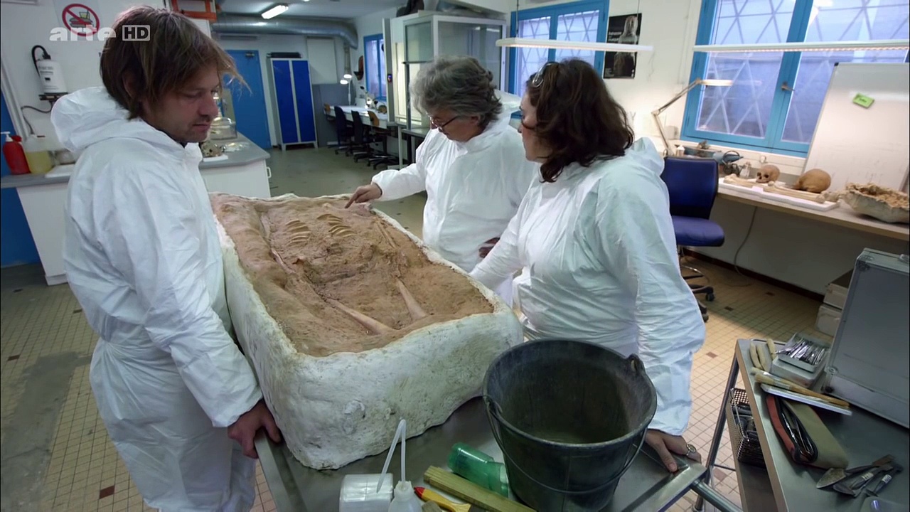 Documentaire Le fils de Néandertal ou le secret de nos origines