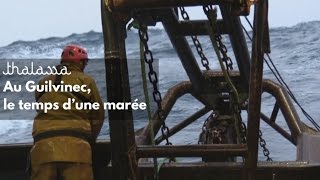 Au Guilvinec, le temps d’une marée