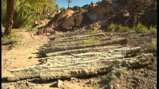 C'est pas sorcier - Oasis, une escale dans le désert