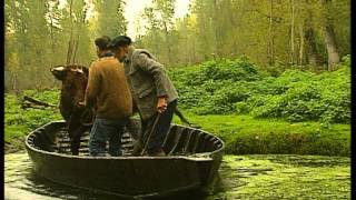 C'est pas sorcier - Marais poitevin