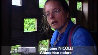 C'est pas sorcier - Drôle d'oiseau, le parc ornithologique de Marquenterre