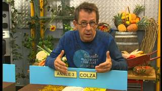 C'est pas sorcier - Agri bio