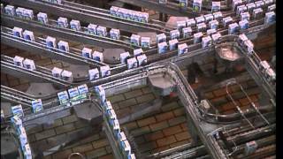 C'est pas sorcier - Conservation des aliments : c'est dans boîte !