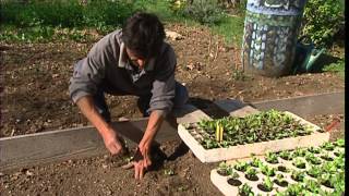 C'est pas sorcier - C'est le printemps