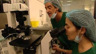 C'est pas sorcier - Fécondation in vitro : un enfant nommé désir