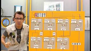 C'est pas sorcier - Nanomonde se secoue les puces