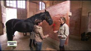 Documentaire Echappées belles – Versailles