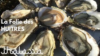 La folie des huitres