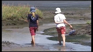 Documentaire L’île sauvage (Cap-Ferret)