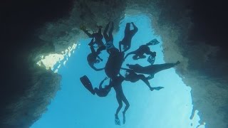 Touristes d’un nouveau genre