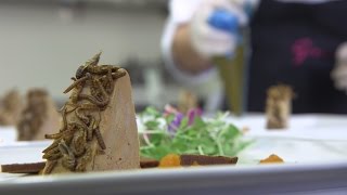 La révolution dans nos assiettes
