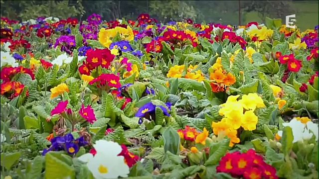 Documentaire Du poison dans nos jardins