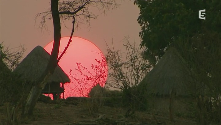 Documentaire Hold-up au Zimbabwé