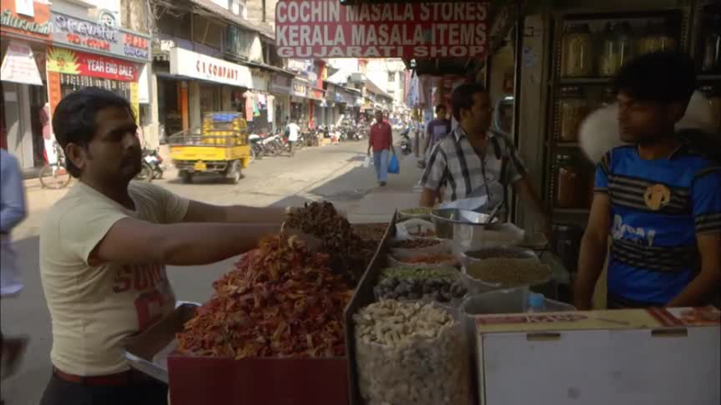 Les aventures culinaires de Sarah Wiener en Asie - Le curry en Inde