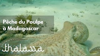 Chasseur de poulpe à Madagascar