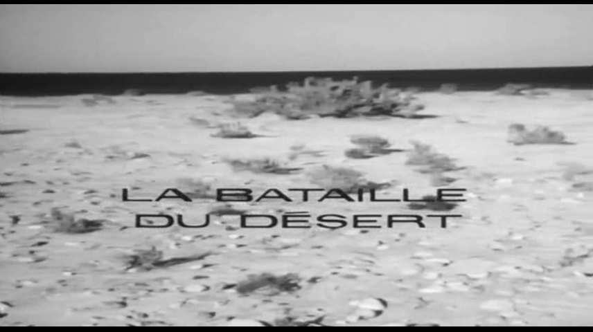 Les grandes batailles - Désert (1/2)