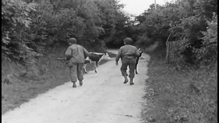 Documentaire Les grandes batailles, Normandie #2