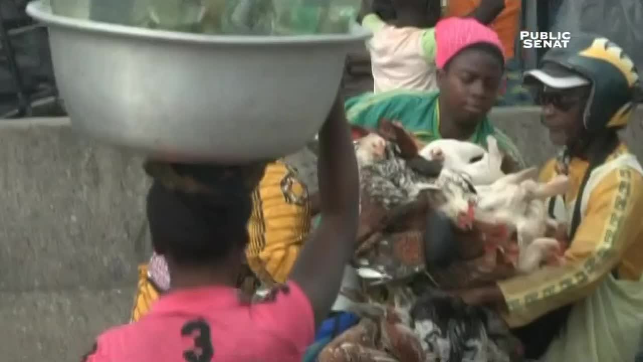 Les dessous de la mondialisation - Bénin, poulet morgue