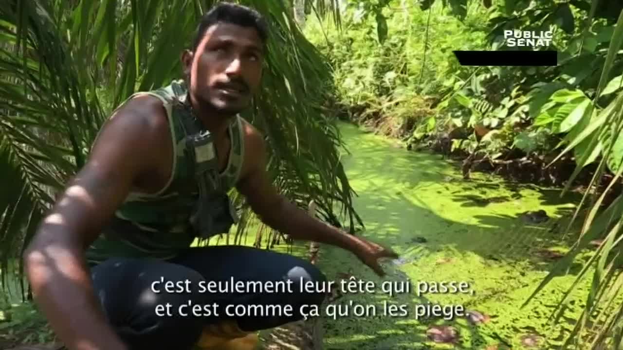 Documentaire Les dessous de la mondialisation – Malaisie, à fleur de peaux