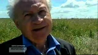 Vents contraires, l'éolien marin en questions