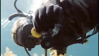 Corse, main basse sur le trésor de 4000 pièces d’or !