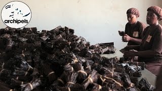 Archipels - Antalaha ville vanille, le parcours d'une saveur