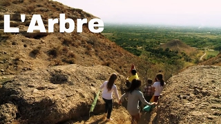 L'arbre