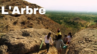 Documentaire L’arbre